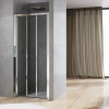 Ronal Sanswiss Arelia drzwi prysznicowe 70 cm srebrny polerowany D20S30704007